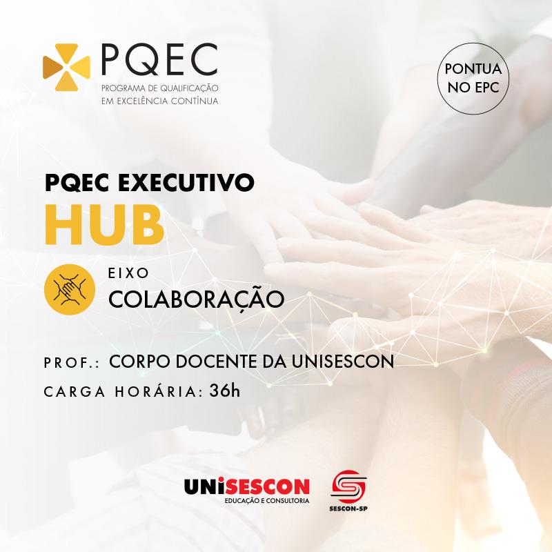 PQEC EXECUTIVO HUB - COLABORAÇÃO