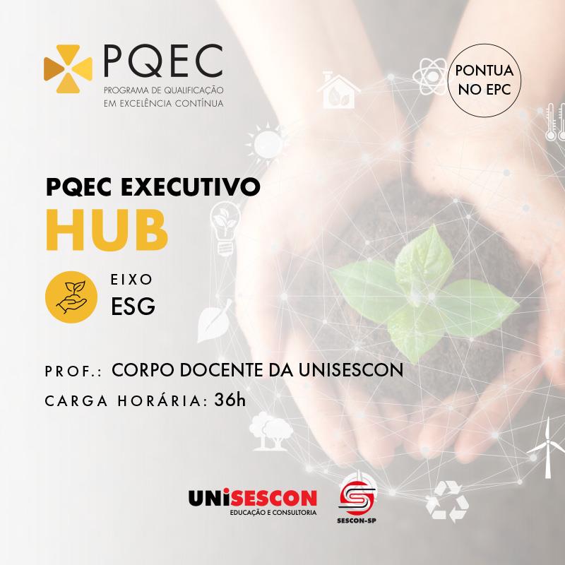 PQEC EXECUTIVO HUB - ESG