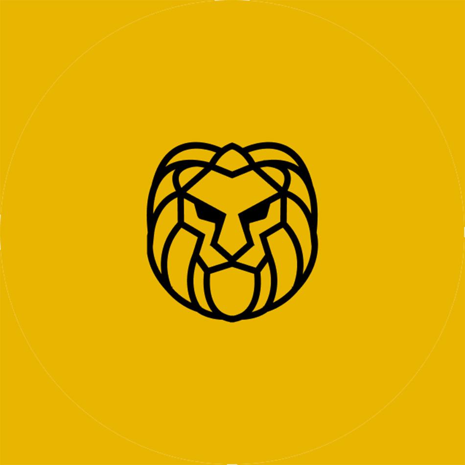 CONFERE LEÃO - 300 DECLARAÇÕES ANUAL